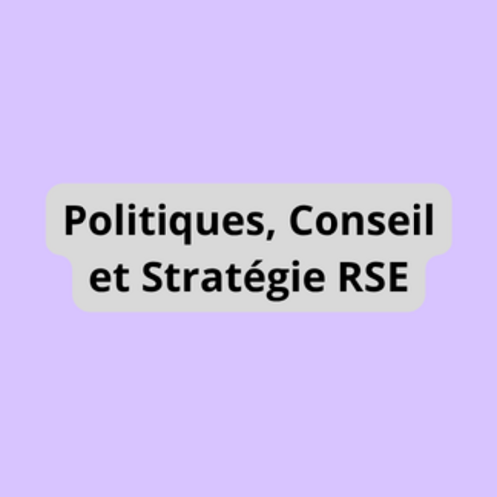 Politiques, Conseil et Stratégie RSE