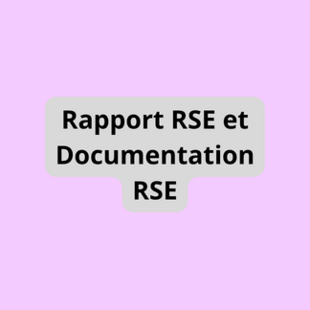 Rapport RSE et Documentation RSE