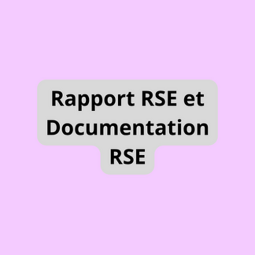 Rapport RSE et Documentation RSE