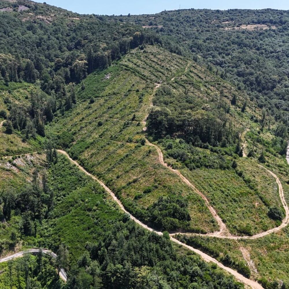 Restoration d'Ecosystèmes au M2