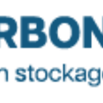 CARBON FOREST