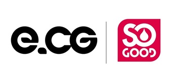 REPUBLIC TECHNOLOGIES DISTRIBUTION / ECG - SO GOOD