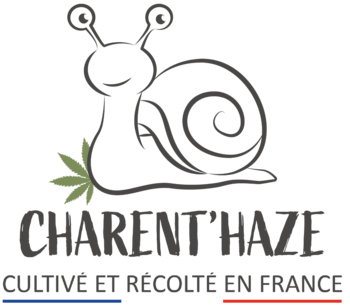 Charent'Haze