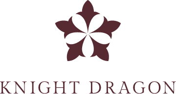 Knight Dragon