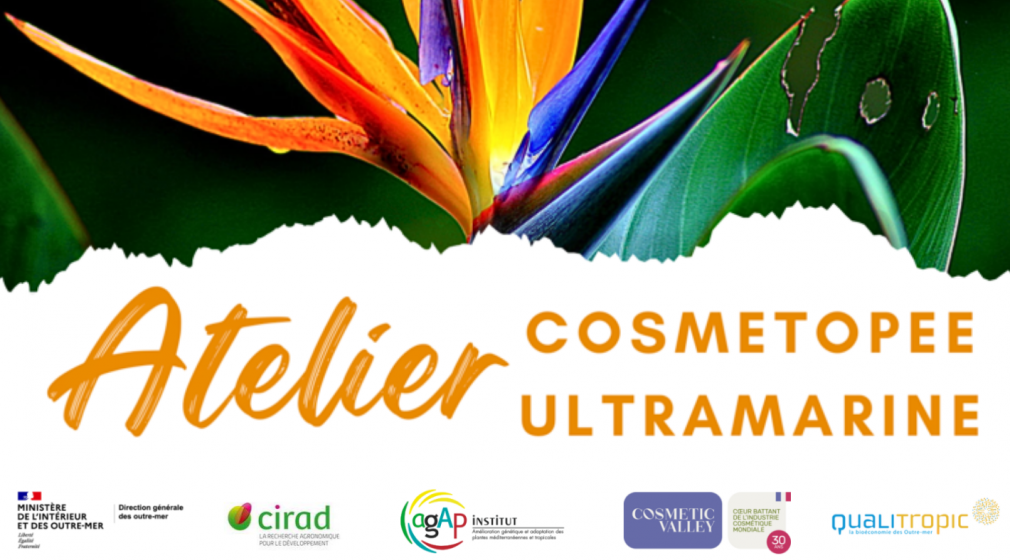 ATELIER COSMÉTOPÉE ULTRAMARINE 2024 À LA RÉUNION