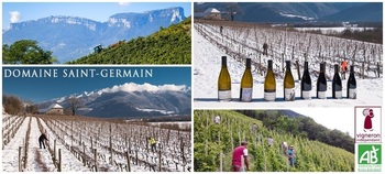 Saint-Germain (domaine)