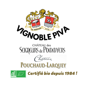Seigneurs de Pommyers (château des)
