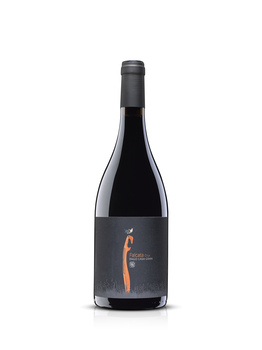 FALCATA CRUX 2022