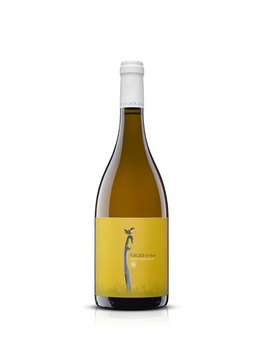 FALCATA SM BLANC 2024