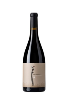 Falcata Arenal 2022