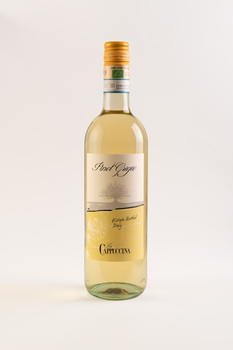 PINOT GRIGIO