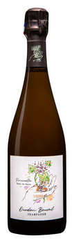 Vinicella