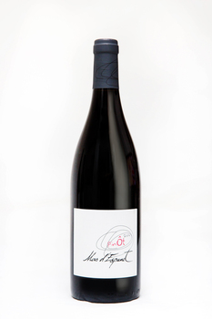 pinot
