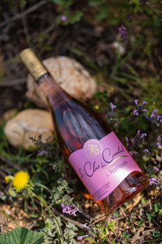 L'Appliquée rosé