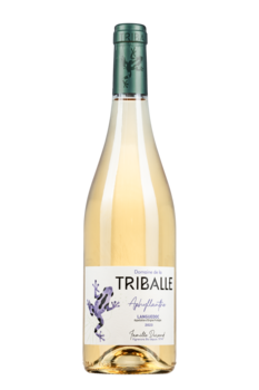 Aphyllanthe