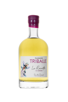 La Rainette des Garrigues