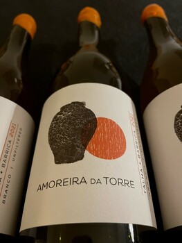 Amoreira da Torre Branco Amphora
