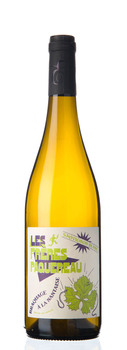 SAUVIGNON BLANC / DOMAINE DE L'EPINAY / FAMILLE PAQUEREAU