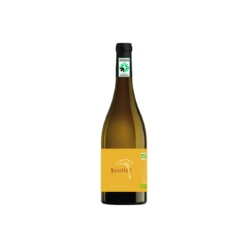 MAZETTE BLANC
