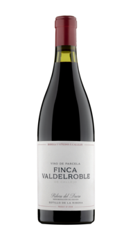 FINCA VALDELROBLE
