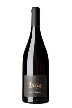 Ortus
