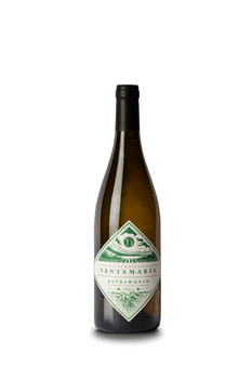 DOMAINE SANTAMARIA - Patrimonio