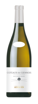 GIENNOIS - CLEMENT &amp; FLORIAN BERTHIER