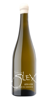 TERRE DE SILEX - CLEMENT &amp; FLORIAN BERTHIER