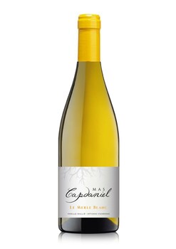 LE MERLE BLANC