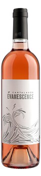 Évanescence