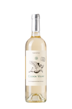 COCHON VOLANT BLANC
