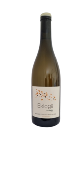 Eklogê