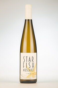 STAR FISH