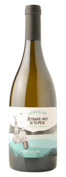 AMSTP - CHENIN