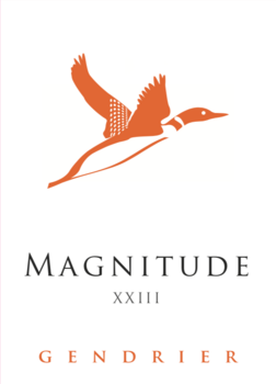 Magnitude
