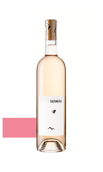 Coccinelle