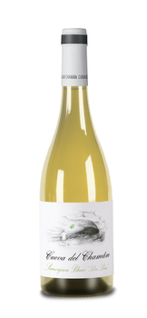 CUEVA DEL CHAMAN SAUVIGNON BLANC "ON LEES"
