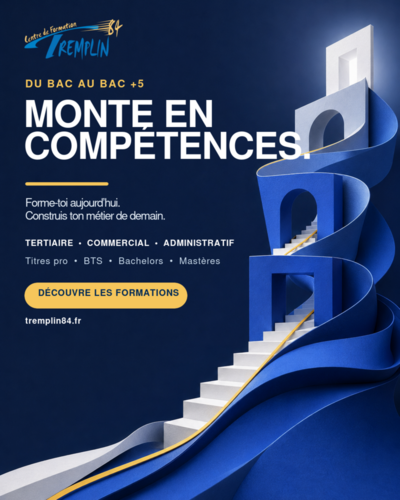Mastère Manager de Commerce et de Centre de Profit