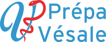 Prépa Vésale - L1SPS - Etudes de santé