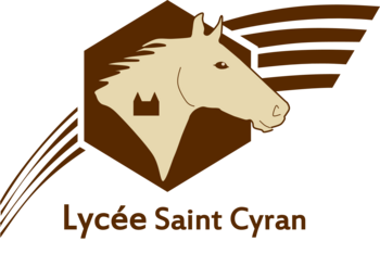 LEAP SAINT CYRAN