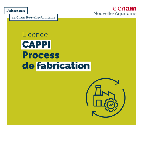 Licence professionnelle CAPPI Process de fabrication