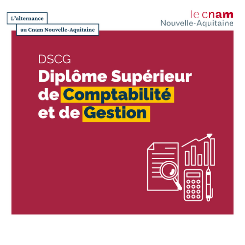 Diplôme Supérieur de Comptabilité et de Gestion (DSCG)