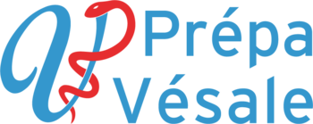 PREPA VESALE - L1 SPS