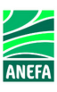 ANEFA