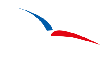 ARMÉE DE AIR ET DE L'ESPACE