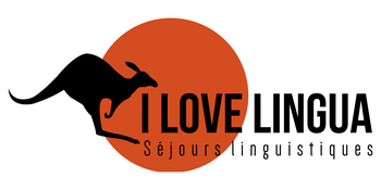 I LOVE LINGUA