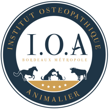 IOA Institut Ostéopathique Animalier