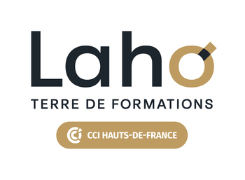 LAHO FORMATION - METROPOLE LILLOISE
