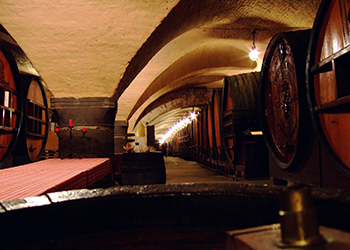 cave2_034b8a9f-3630-4349-8c9b-8a71a2658975.png